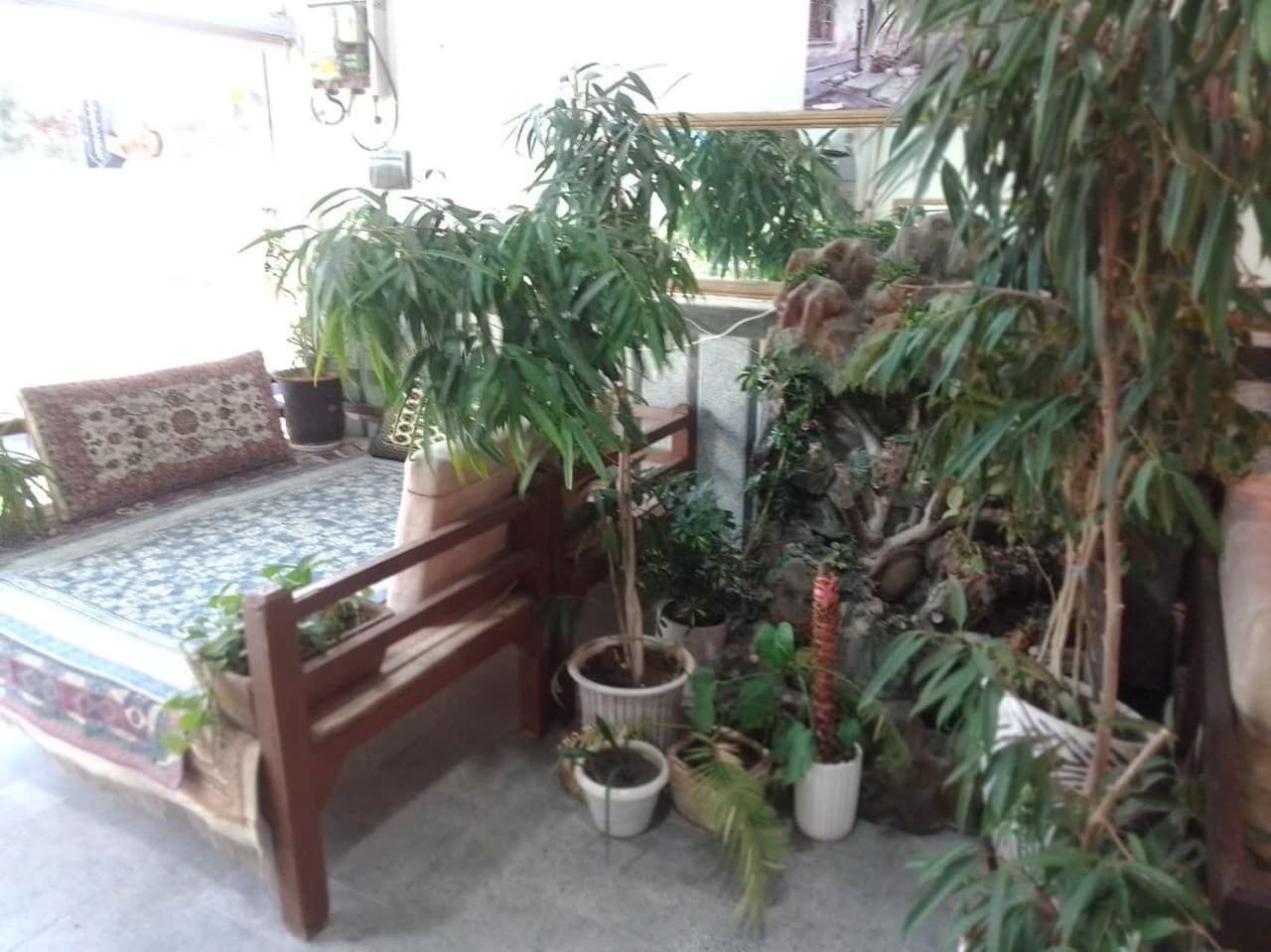 تصویر ملک